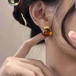 Gold and Brown Earrings